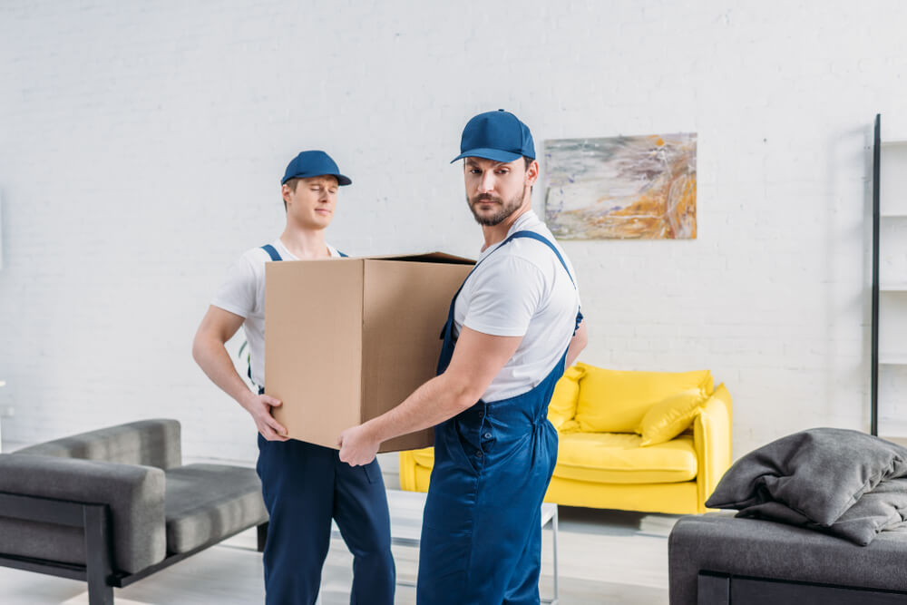 Apartment Moving Assistance